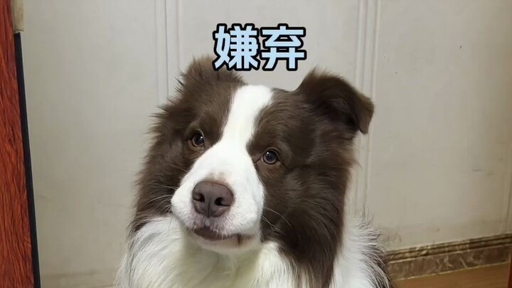 Bullying is always a two-way street.