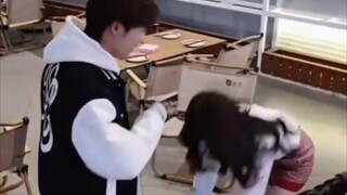 “这是真的玩得起”