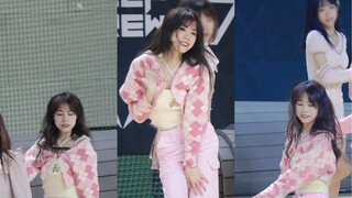 Semua anggota berbaju pink｜Beijing Normal University dance road show pengambilan gambar langsung Sta