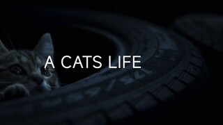 A Cats Life Full Movie