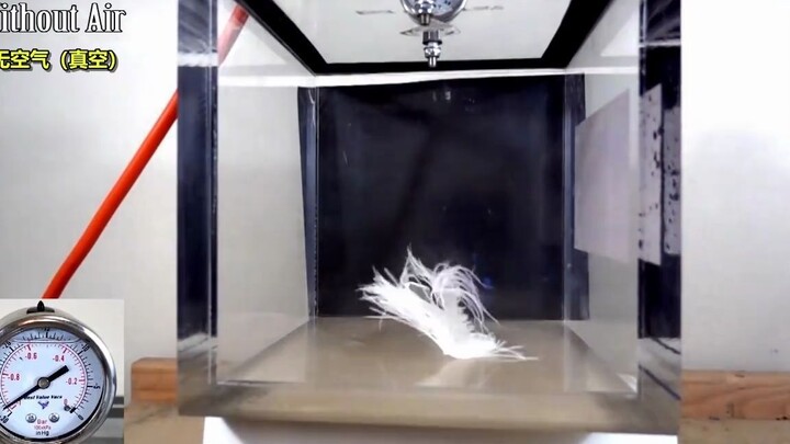 How would a feather fall in a vacuum?