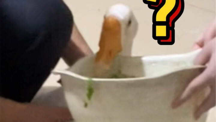 马上双方父母第一次见面！不紧张！