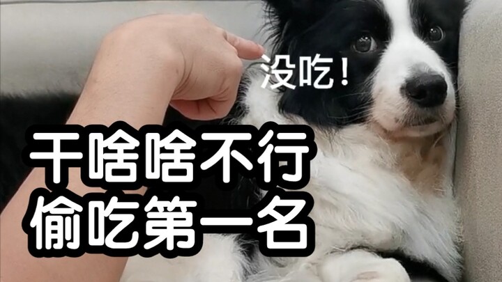 Trộm ăn, giả ngốc, dựng chuyện đền bù – trọn gói