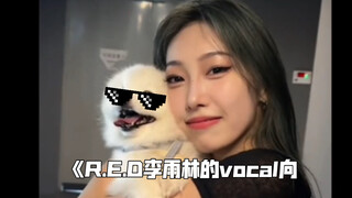 内娱竟然有这样的欧美嗓？？？我们R.E.D大舞担李雨林的vocal一绝