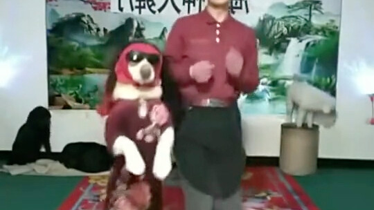 Quá kỳ lạ