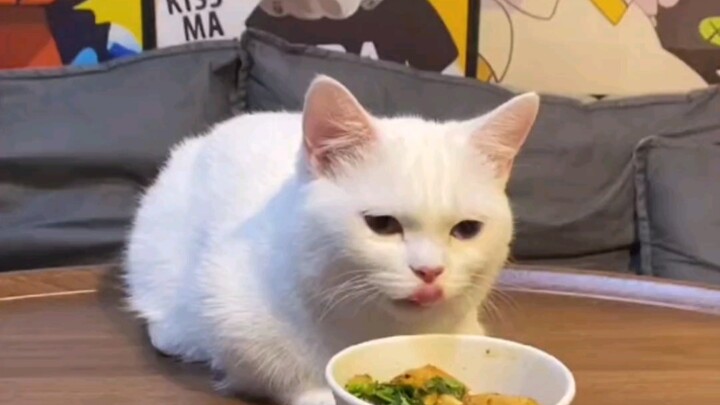 ทุกวันหนึ่งครั้ง บอกลาความกังวล