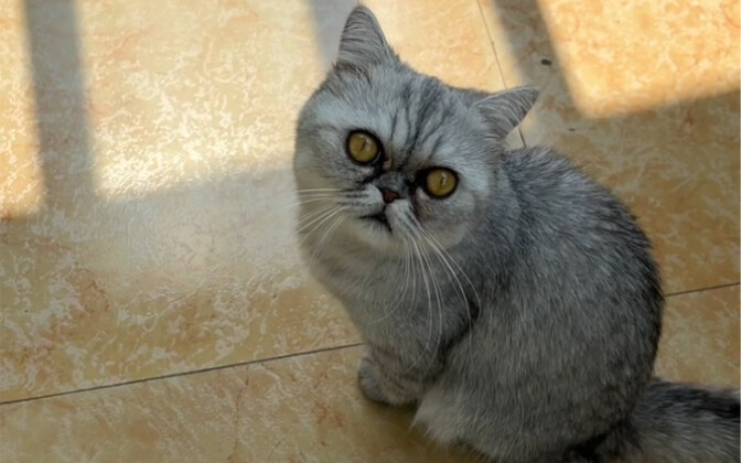 Wow, you're really sensible; sensible kids deserve rewards.