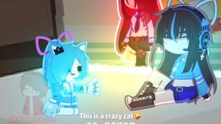 【Gacha】你喜欢哪样的猫咪呢？