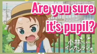 Are you sure it's pupil?