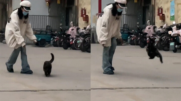 Seorang perempuan ingin memeluk kucing liar, tapi si kucing malah melompat-lompat sambil kabur hingg