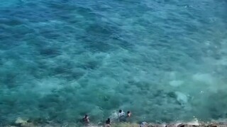 認知不同不爭不辯，三觀不合浪費口舌，每個人都只會從自己的認知角度去思考問題，就當他們說的是對的，不值得的人，不值得的事，不值得氣著自己，有錢把人做好，沒錢把事做好，過好自已，別人和我們無關！