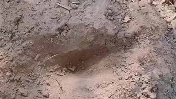 Chuyên gia nói nông nghiệp siêu lợi nhuận