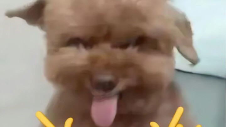 Internet Profiles, Episode 70: Shell