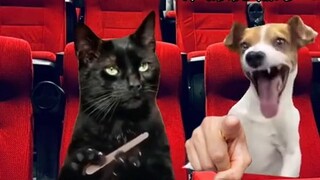 When you go to participate in the campus singing competition of your son's school