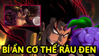 Tứ hoàng Râu Đen: Cơ thể chó 3 đầu - Trái ác quỷ tiếp theo? #onepiece