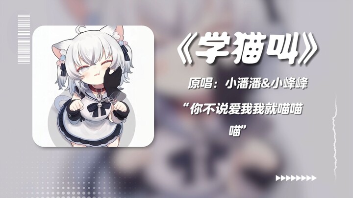 Cute pet Lianlian~😺"Let's learn to meow together, meow meow meow meow" "Learn to Meow"