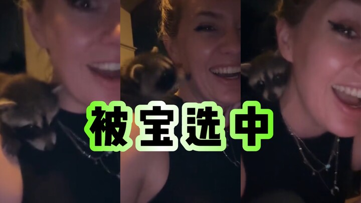 A bag of crispy noodles fell from the sky!