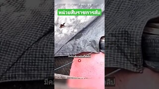 หน่วยสืบราชการลับ
