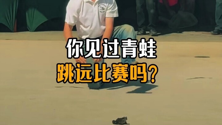 Lomba lompat jauh katak yang seru?