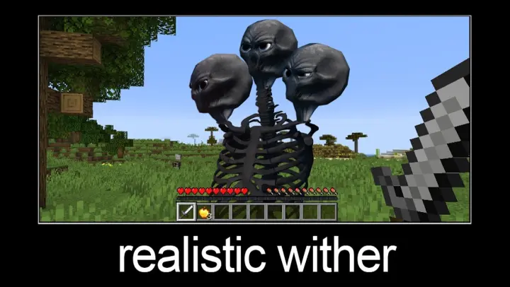 Minecraft wait what meme part 155 (realistic wither)