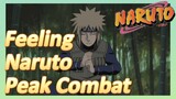 Feeling Naruto Peak Combat