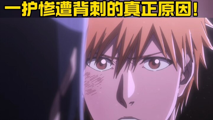 The real reason why Ichigo was backstabbed!!