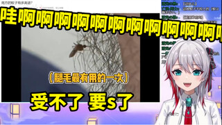 日本天然小姐姐看《南方的蚊子有多离谱》差点被吓死