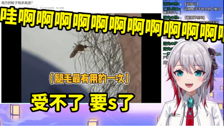 日本天然小姐姐看《南方的蚊子有多离谱》差点被吓死