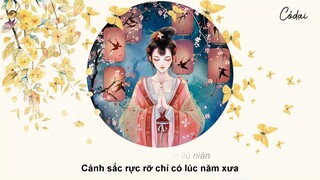 [Vietsub + Pinyin] Mộng Vọng Đoạn - Winky Thi / 梦望断 - Winky 诗