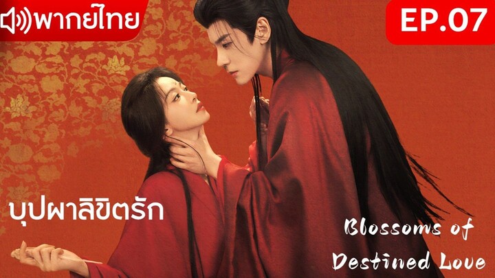 【พากย์ไทย&2026】EP.07💘เกิดใหม่พลิกชะตาในคืนแต่งงาน!🌸บุปผาลิขิตรัก | Blossoms of Destined Love💕