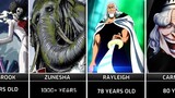 Top 20 Oldest Characters in One Piece
