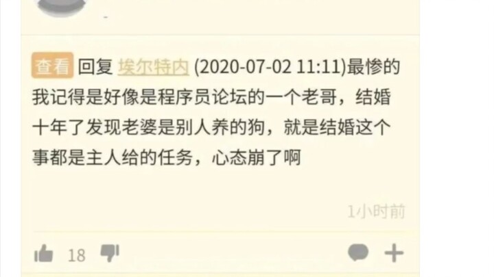 Pipi Shrimp's Hilarious Genius Comments: It hurts—so freaking painful!