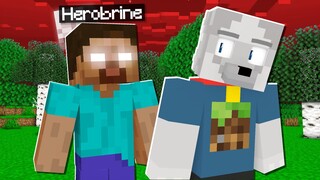 AKU MENGHABISKNA WAKTUKU BERSAMA HEROBRINE DAN INILAH YANG TERJADI