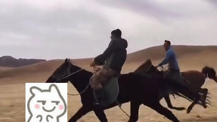 أنا خايف جدًا وهو يركض هكذا أن تتعارك قدميه الأمامية والخلفية.