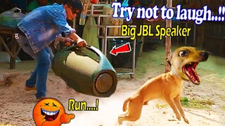 Big JBL speaker prank sleeping dog very funny - Try to stop laugh 2021