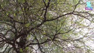 BTS Bon Voyage Season 1 Eps 8 (eng sub)
