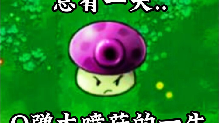 Q弹大喷菇的一生...