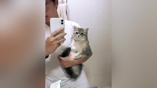 Chụp cái gì mà chụp. Cho ăn đê caoratngoan meow xuhuong thucung idolface