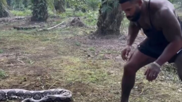 【Bản đầy đủ】Chàng trai cơ bắp đại chiến trăn lưới