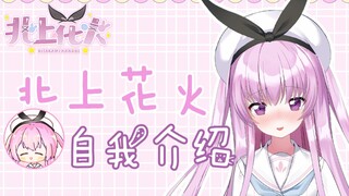 【自我介绍】虚拟主播-可爱粉毛（不是JS！不准喊老婆啊！）【北上花火】