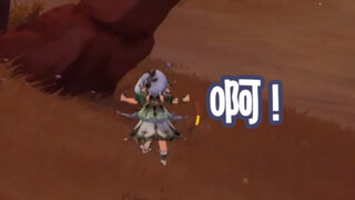 【原神】别这样，我只是个4级小草神！
