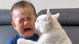 Cute cat with baby  boy 😎