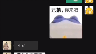 风韵犹存的双面龟