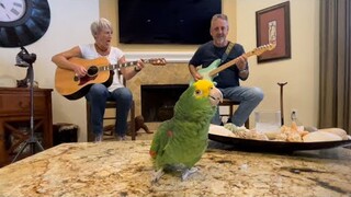 Sweet Home Al (feat. Lisa Rott)