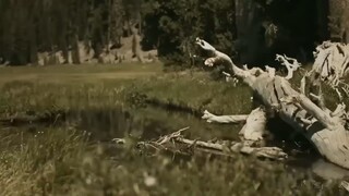 prey for death action gun fight movie