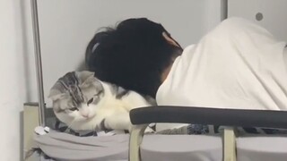 "Raise a cat for a thousand days, use it for a moment"