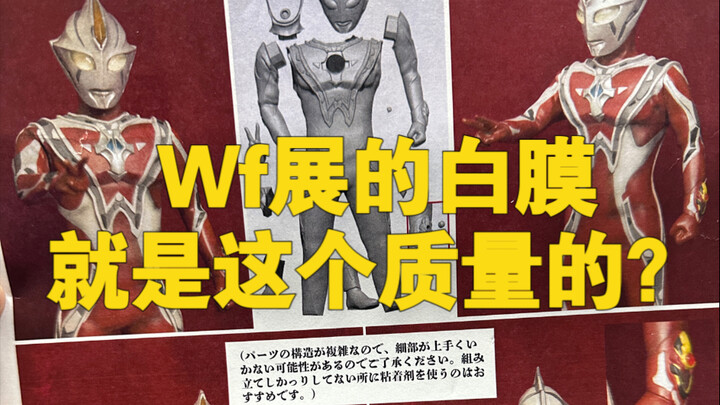 WF展上买的白膜就是这个质量吗？有懂得兄弟科普下吗