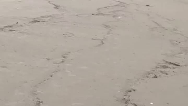 viral video