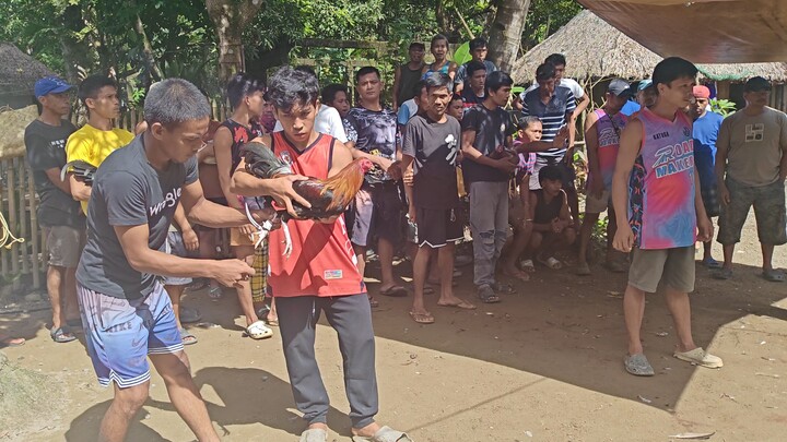 3years old (Win) 3times Winner na