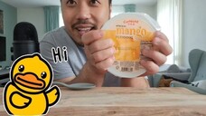 ASMR Mango Pudding With Nata De Coco 🥭🍮 NO TALKING (Eating Sounds)